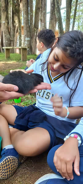 Bicho Mania 2022